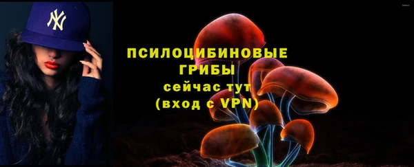 mdma Няндома