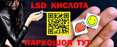 мяу мяу мука Камышлов