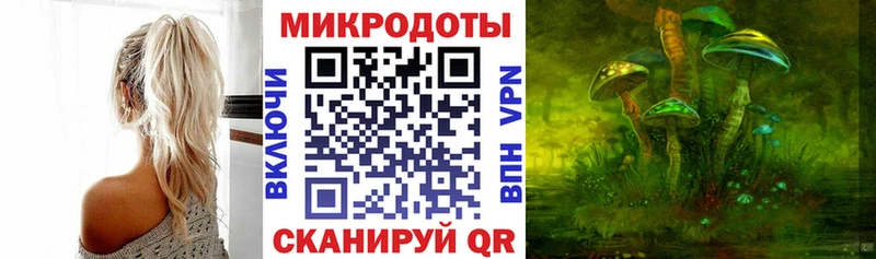 darknet какой сайт  Советская Гавань  Галлюциногенные грибы Psilocybe  магазин продажи  