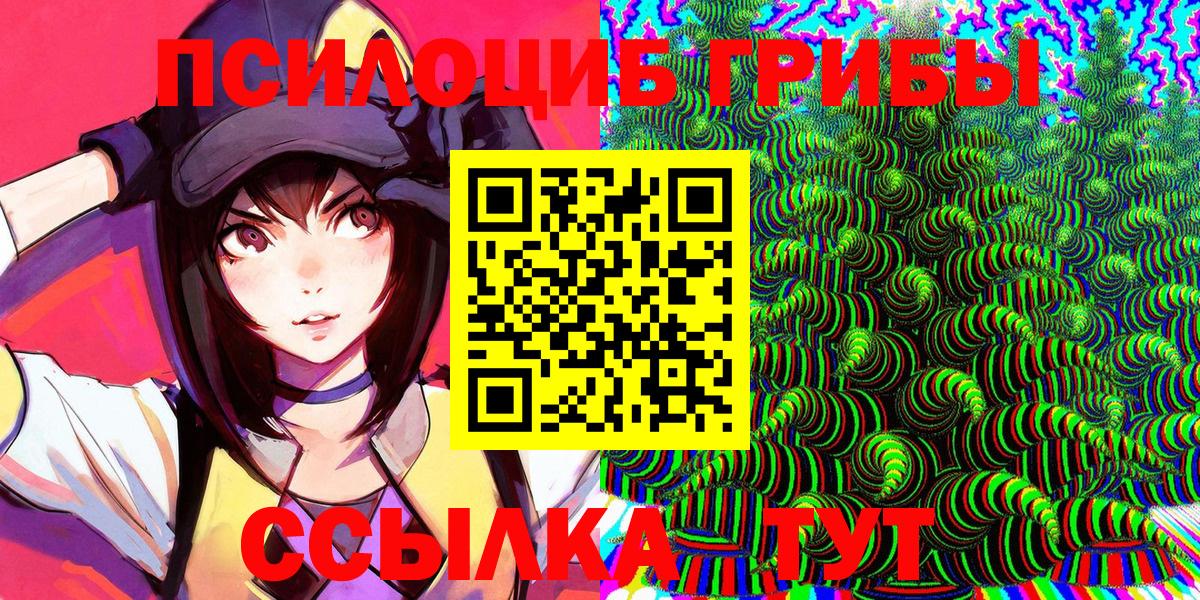 Псилоцибиновые грибы Psilocybe  Советская Гавань 