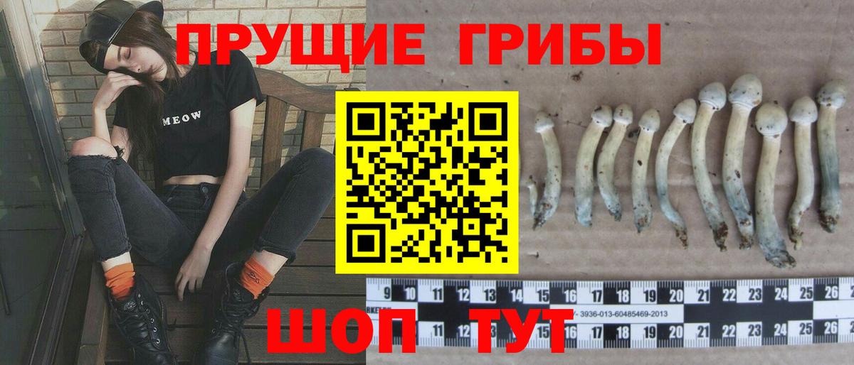 Псилоцибиновые грибы ЛСД Советская Гавань