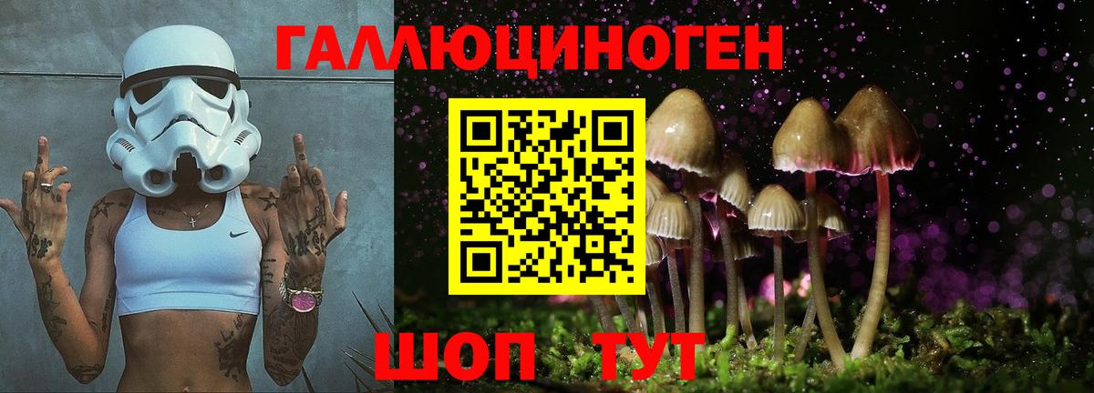 Галлюциногенные грибы Psilocybe  Вход с VPN  Псилоцибиновые грибы ЛСД  Советская Гавань 